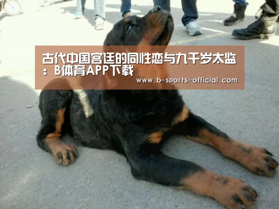 古代中国宫廷的同性恋与九千岁太监:B体育APP下载(图2) B体育