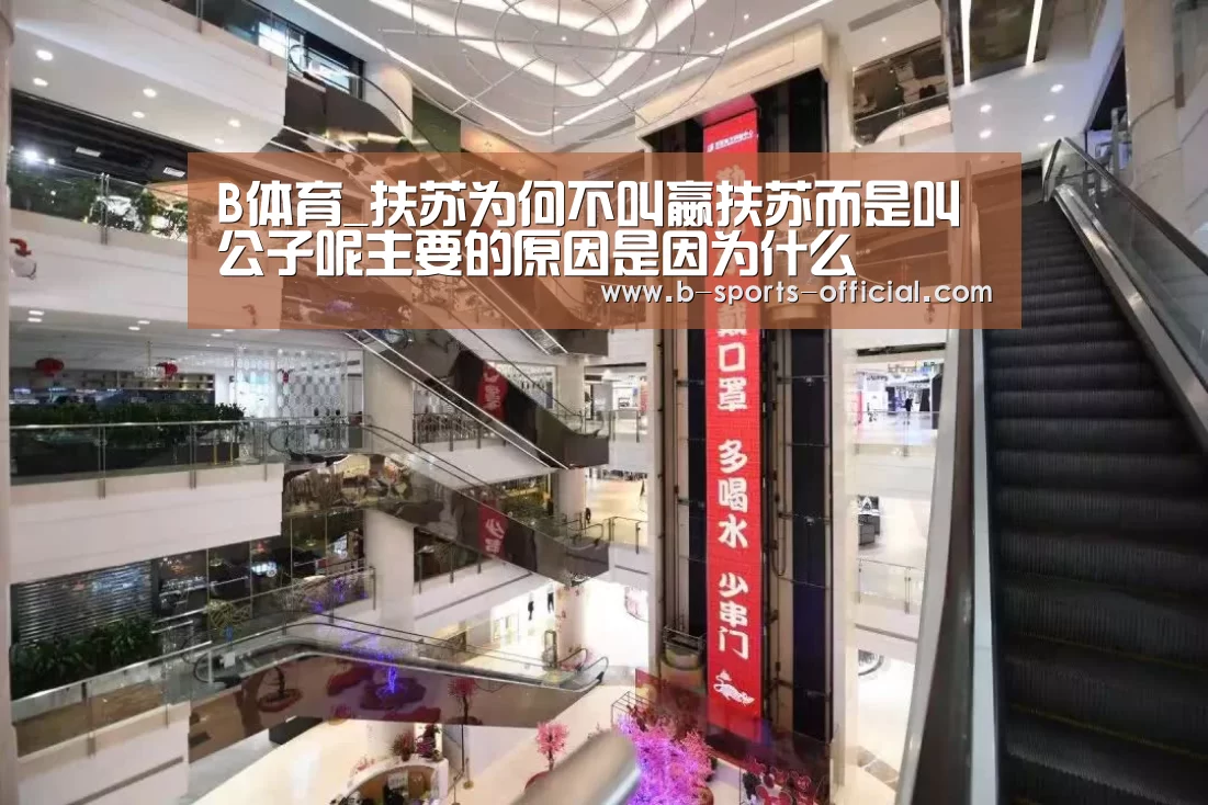 B体育_扶苏为何不叫嬴扶苏而是叫公子呢主要的原因是因为什么(图3) B体育官网