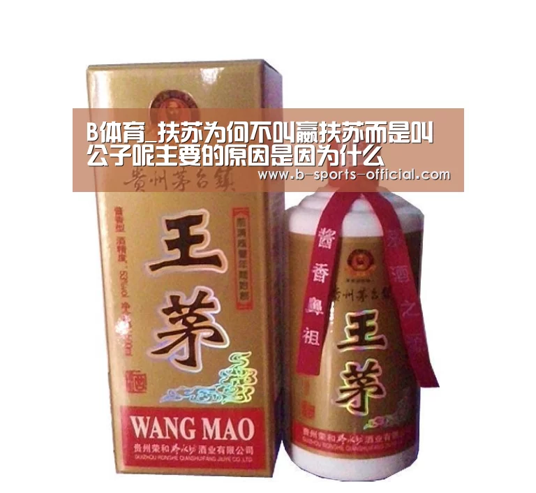 B体育_扶苏为何不叫嬴扶苏而是叫公子呢主要的原因是因为什么(图2) B体育