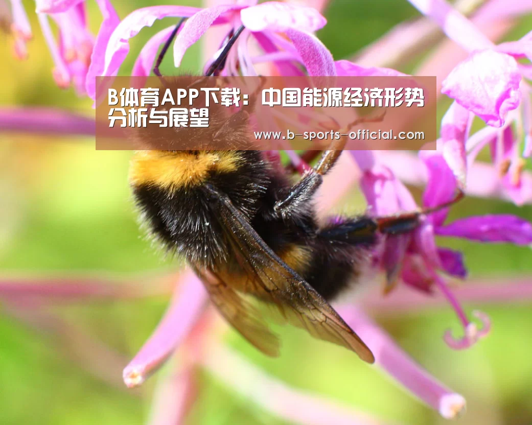 B体育APP下载