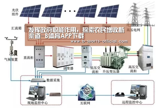 发挥政府职能作用,探索农民增收新渠道-B体育APP下载(图1) B体育平台