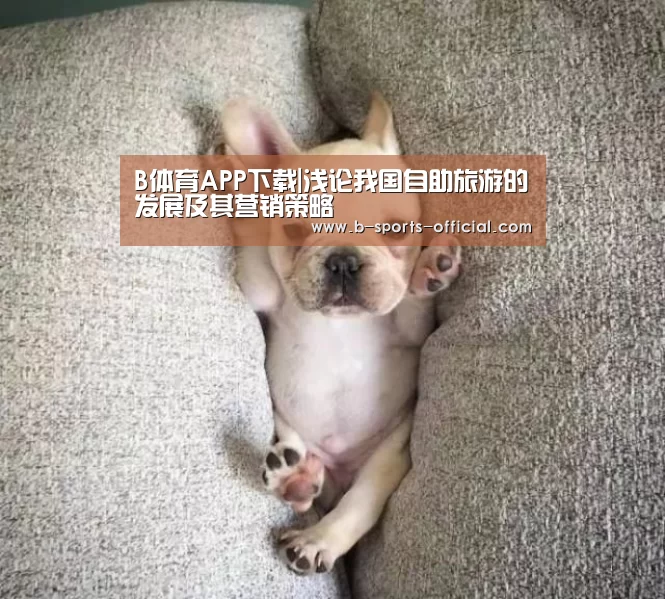 B体育APP下载|浅论我国自助旅游的发展及其营销策略(图1) B体育官网