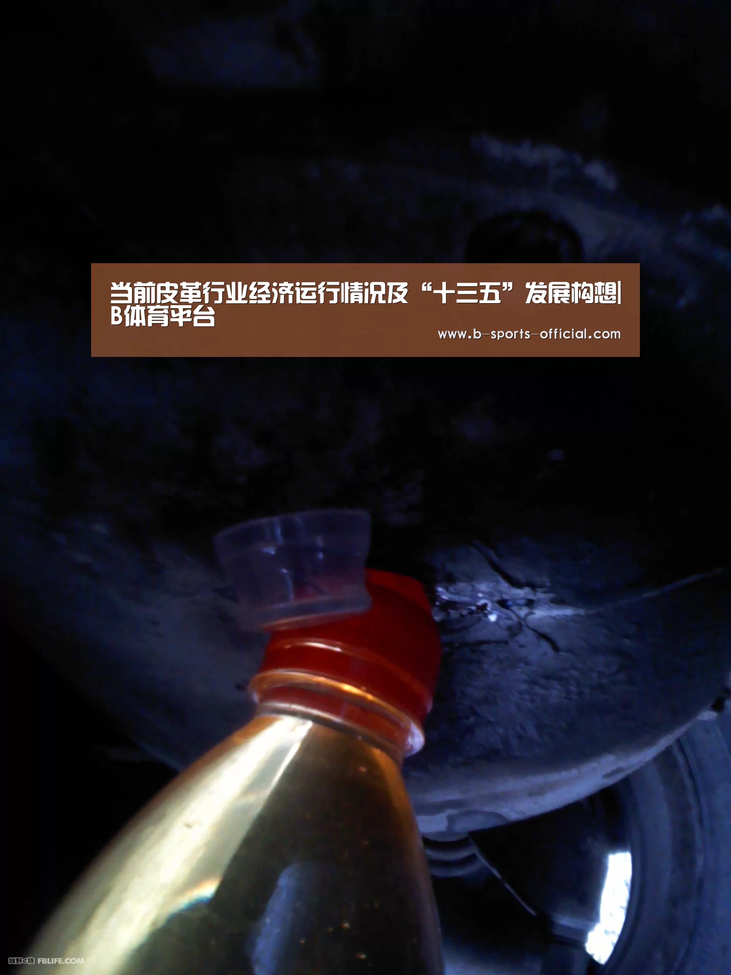 当前皮革行业经济运行情况及“十三五”发展构想|B体育平台(图1) B体育平台