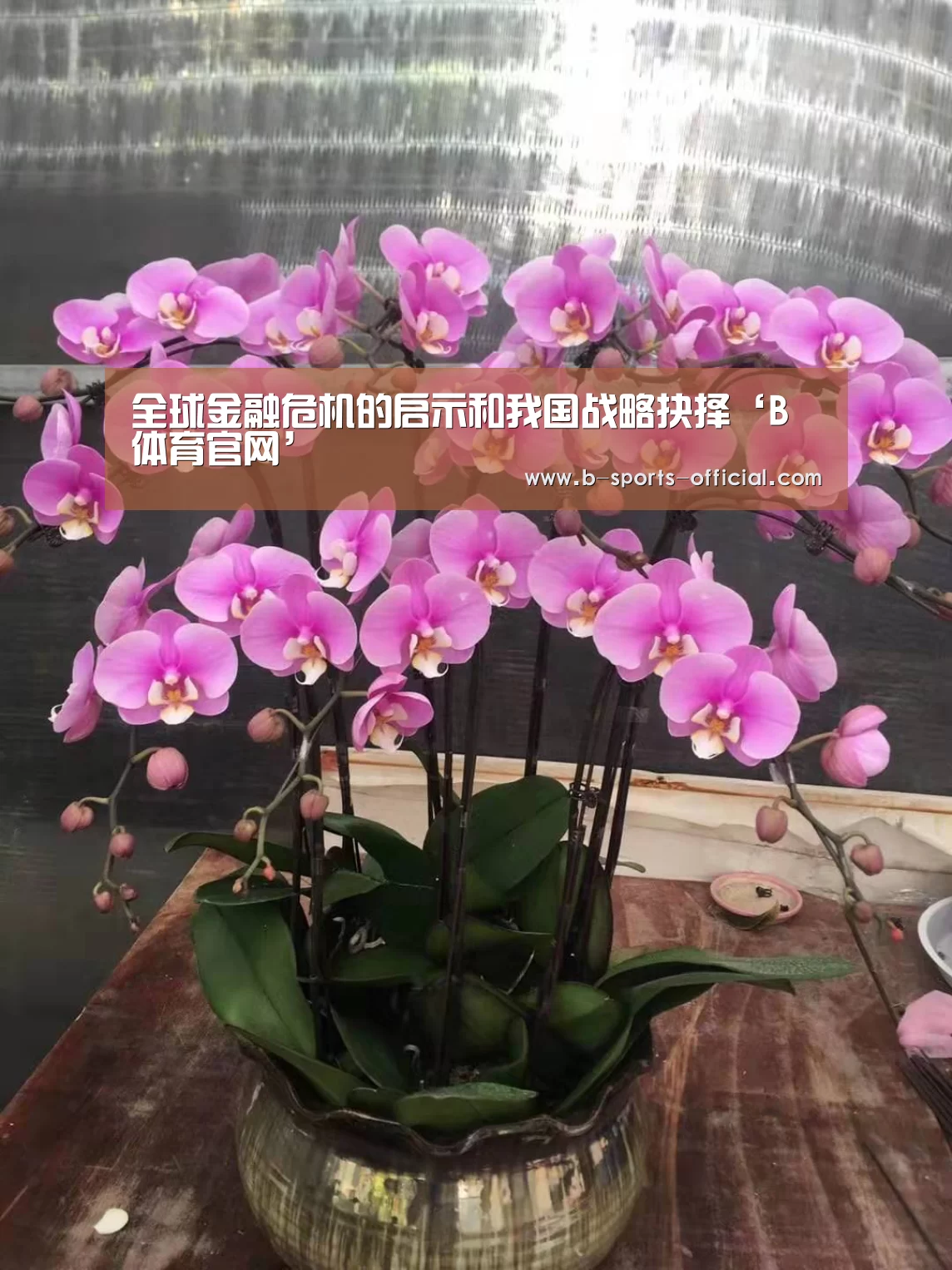 全球金融危机的启示和我国战略抉择‘B体育官网’(图4) B体育平台