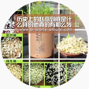 历史上的赵高到底是什么样的他真的有那么残暴吗-B体育平台(图1) B体育